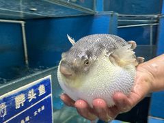 -永安鱼庄·镇江菜(丁卯店)