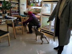 -我爱吾宠宠物美容院(朝阳路店)