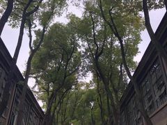 -凡德艺术街区