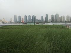 -丹东路渡口(轮渡站)