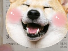 -朱洪元苏式面馆(绿宝广场店)