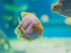 -秦皇岛新澳海底世界