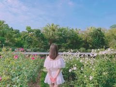 -人民公园(罗湖区)