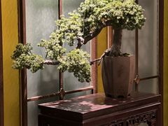 -新渝城·川菜·火锅(区庄店)