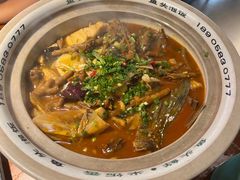 -魏铭鱼头捞饭(晋阳路店)