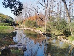 -上海滨江森林公园