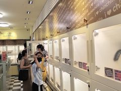 -龙猫仔乐园(惠福东路店)