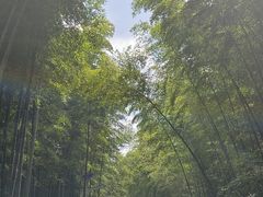 -石塘人家