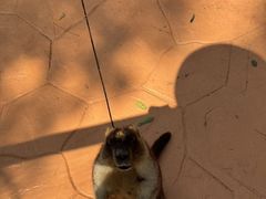 -南戴河国际娱乐中心