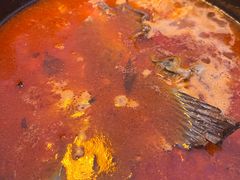 -毛辣果·酸(OHA复兴西路店)