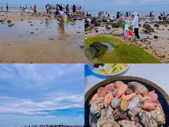 -巧克力渔家.小船海鲜胶东菜(万平口店)