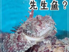 -温岭人家(红花北路店)