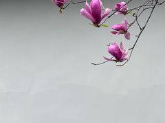 -大龙山(地铁站)