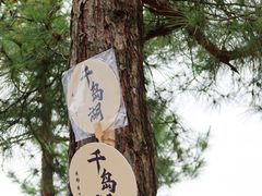 -千岛湖天屿景区