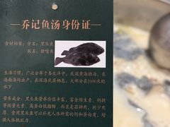 -山东八大碗山东老字号