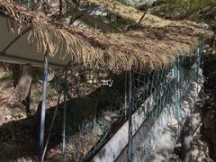 -洛阳白云山景区