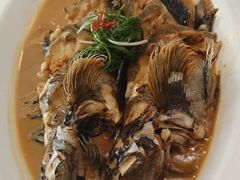 -天顺渔港·海景餐厅(星海广场店)