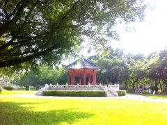 android_upload_pic-中山大学学者灵芝(园南路店)