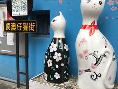 -猫咪博物馆(顶澳仔猫街店)