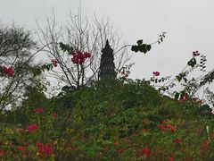 -顺峰山公园