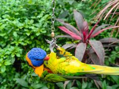 -南宫五洲植物乐园