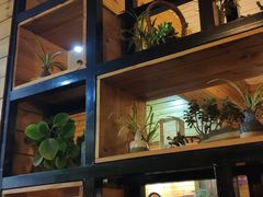 -临江餐馆二楼美食部落