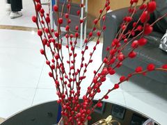 -雅悦齿科(顾村公园店)