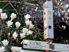 -龙华寺