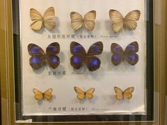 -蝴蝶泉公园