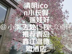 -青岛鑫江温德姆酒店