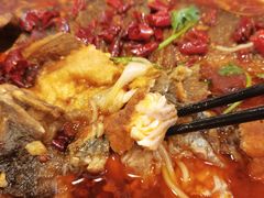 -蜀腾川·火锅鱼.烤鱼(新世界城店)