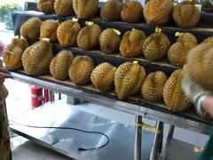 泰国金枕榴莲-叶氏兄弟(大连奥特莱斯店)