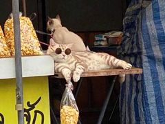 -旺顺阁海鲜广场(亚运村店)