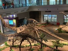 -自贡恐龙博物馆