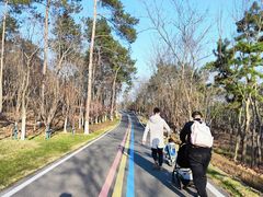 -南京金牛湖风景区