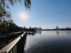 -莲花池公园