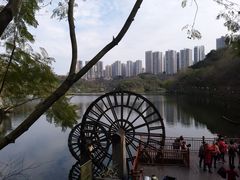 -重庆彩云湖湿地公园