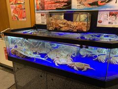 -蟹道乐(道顿堀本店)