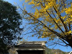 -阳台山自然风景区