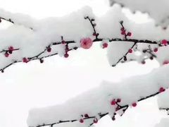 -竹泉村旅游度假区