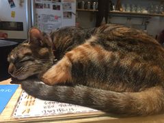 -猫的天空之城概念书店(杭州南宋御街店)