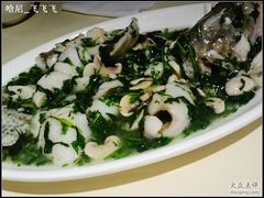 荠菜桂鱼-蝶苑(吴江路店)