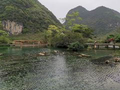 -靖西鹅泉风景区