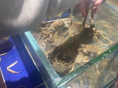 -九月海·海鲜自助(世纪东方店)
