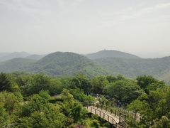 -南京老山国家森林公园