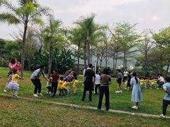 -银湖山郊野公园-相思林