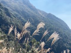 -金子山原生态旅游风景区
