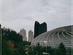 -凤凰中心