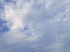 -武汉紫薇都市田园