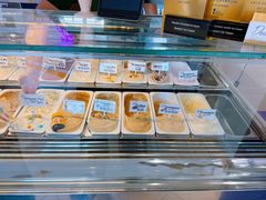 -Dooley's Premium Ice Cream